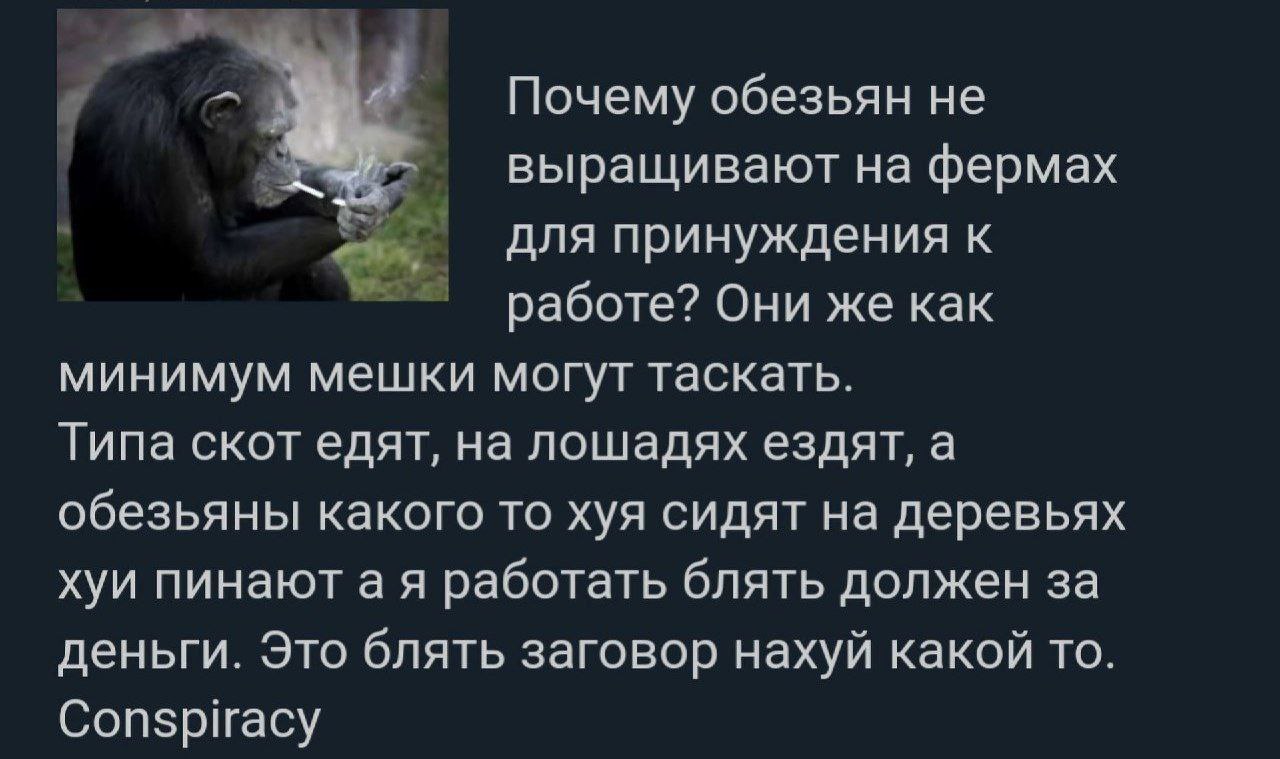 a Почему обезьян не выращивают на фермах для принуждения к работе? Они же как минимум мешки могут таскать. Типа скот едят, на лошадях ездят, а обезьяны какого то хуя сидят на деревьях хуи пинаютая раб