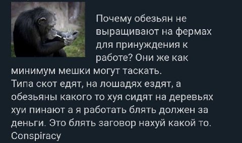 a Почему обезьян не выращивают на фермах для принуждения к работе? Они же как минимум мешки могут таскать. Типа скот едят, на лошадях ездят, а обезьяны какого то хуя сидят на деревьях хуи пинаютая раб