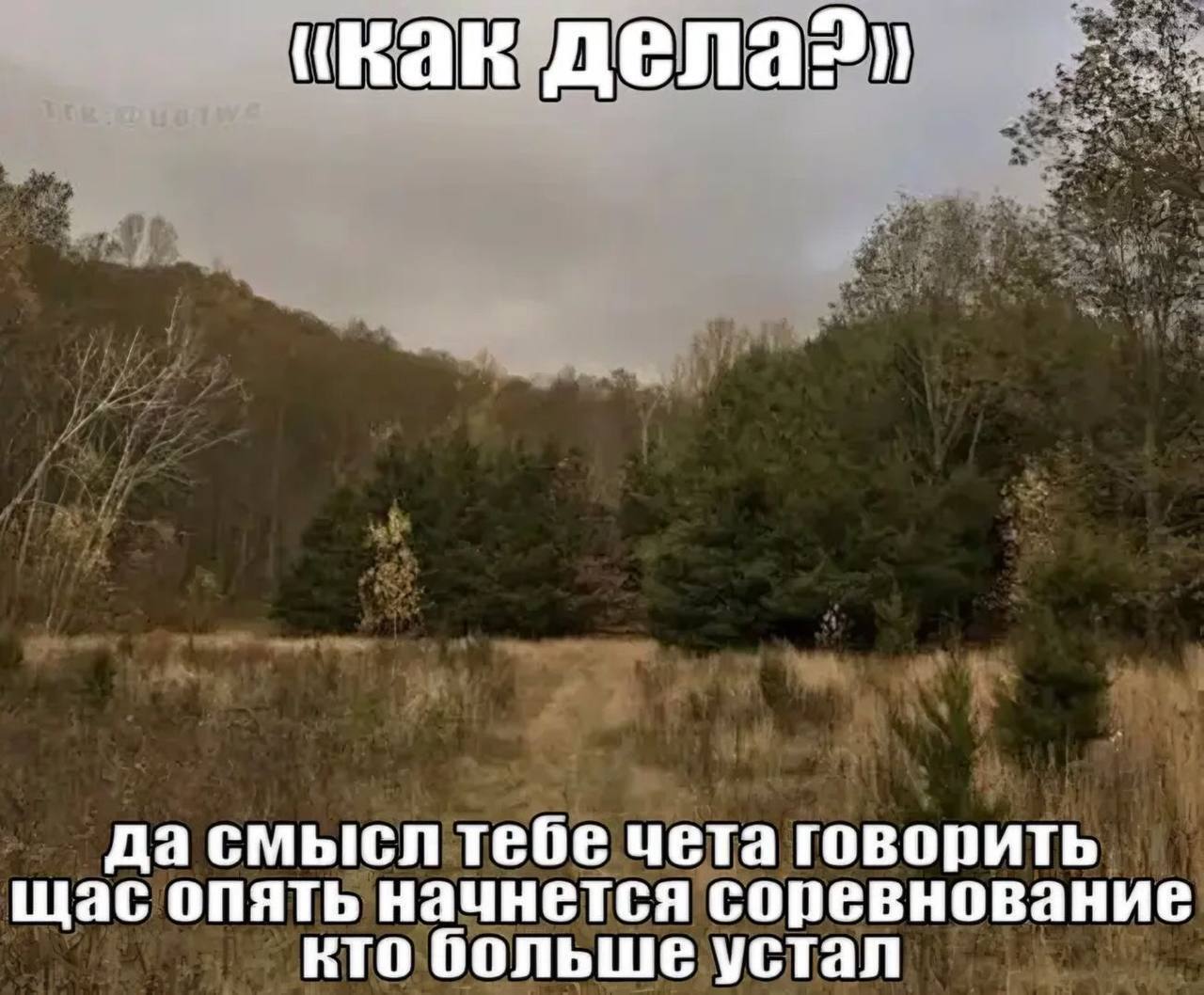 (Как nena?) да смысл тебе чета говорить щас опять начнется соревнование кто больше устал