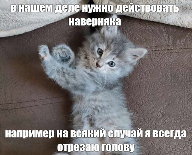 в нашем Agne Нужно действовать A наверняка например на всякии случаи я всегда отрезаю голову
