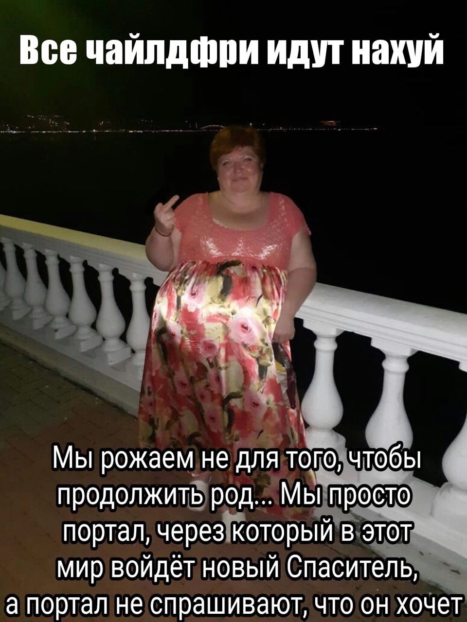 Все чайлдфри идут нахуй Мы рожаем не для чтобы i продолжить род... Мы просто портал, через который в этот мир войдёт новый Спаситель, а портал не спрашивают, что он хочет