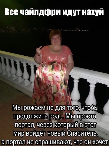 Все чайлдфри идут нахуй Мы рожаем не для чтобы i продолжить род... Мы просто портал, через который в этот мир войдёт новый Спаситель, а портал не спрашивают, что он хочет