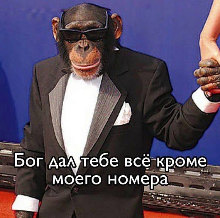 Бог да№тебе всё кроме моего номера