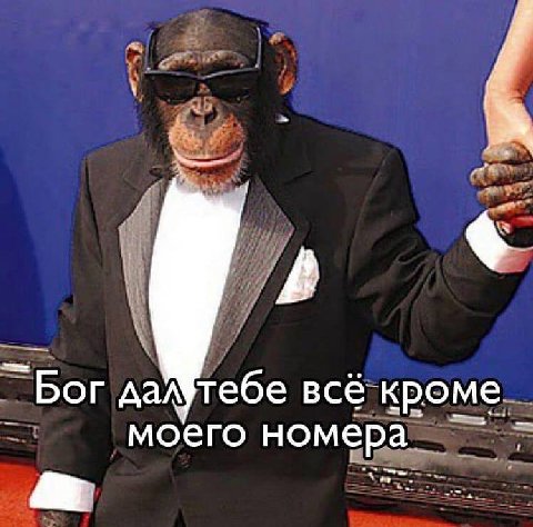 Бог да№тебе всё кроме моего номера