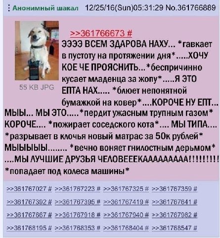 Анонимный шакал No.361766889 >>361766673 99339 ВСЕМ ЗДАРОВА НАХУ... *гавкает в пустоту на протяжении дня* ХОЧУ KOE ЧЕ ПРОЯСНИТЬ...*беспричинно кусает младенца за жопу* Я ЭТО 55 JPG ЕПТА НАХ *блюет неп