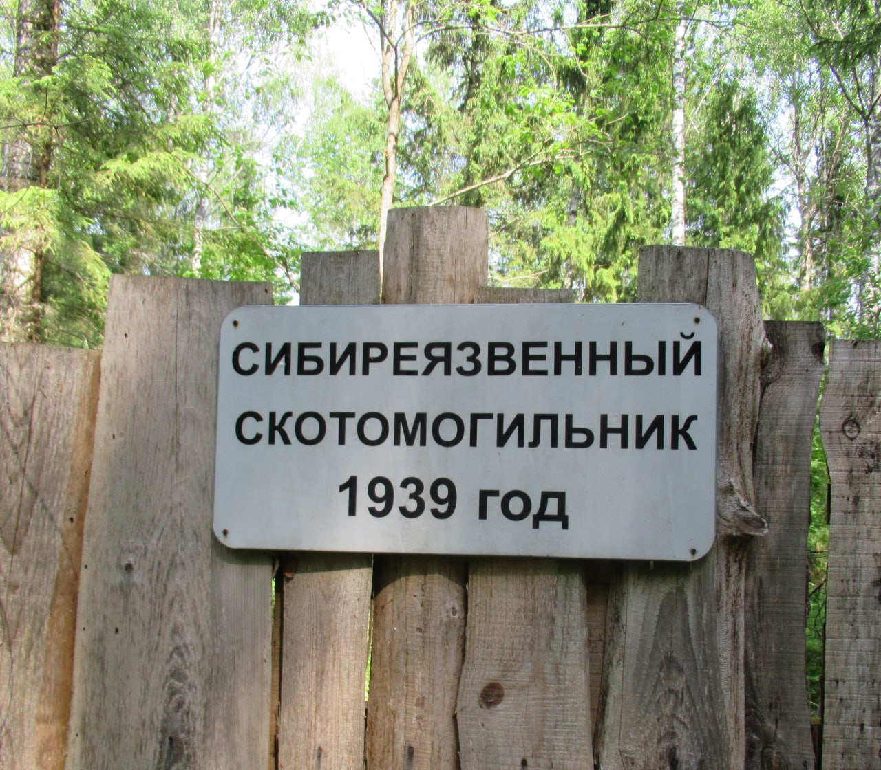 4 СИБ СКОТОМОГИЛЬНИК 1939 год