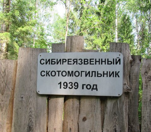 4 СИБ СКОТОМОГИЛЬНИК 1939 год