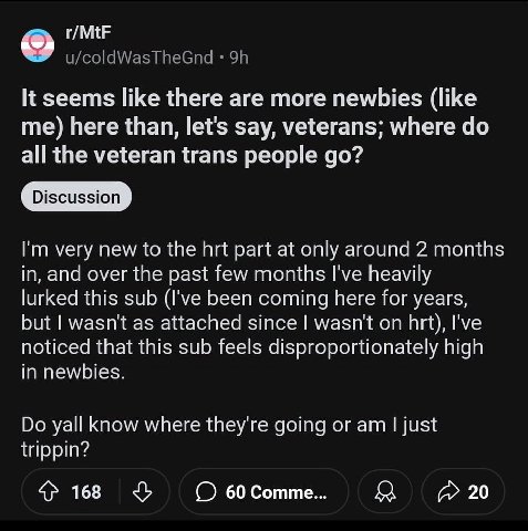 r/MtF u/coldWasTheGnd It seems like there are more newbies (like me) here than, let's say, veterans; where all the veteran trans people very new to the hrt part at only around 2 months in, and over th