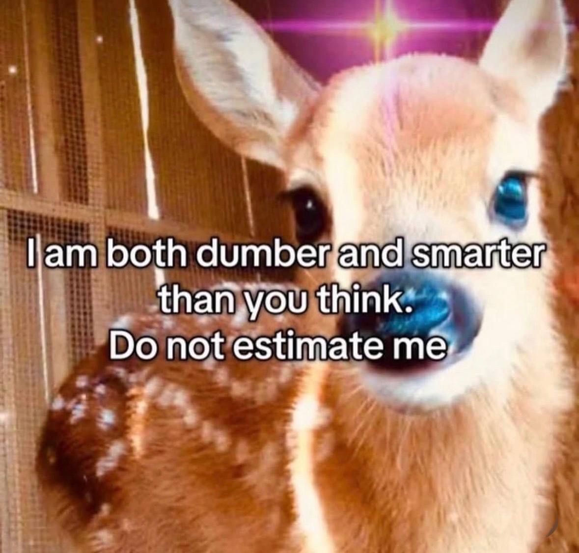 at both dumber and think. not estimate