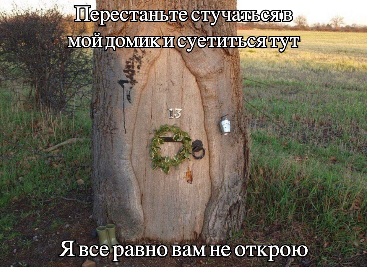 ерестаньте МОЙ домики суетитв Я все равно вам не открою