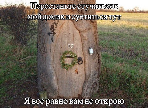 ерестаньте МОЙ домики суетитв Я все равно вам не открою