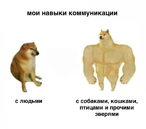мои навыки коммуникации с людьми с собаками, кошками, птицами и прочими зверями