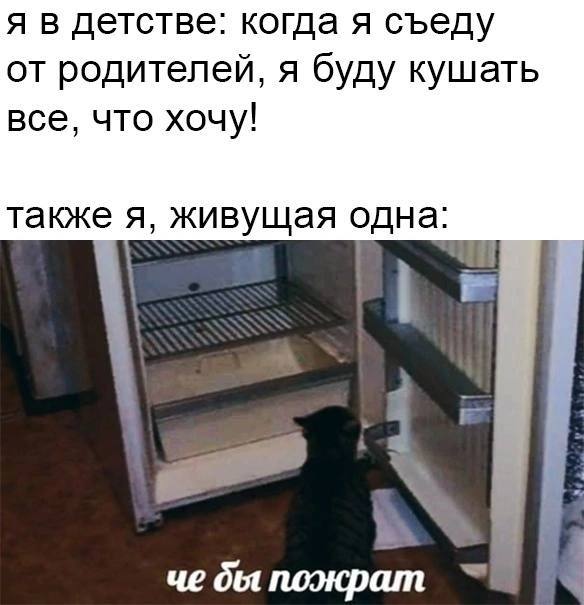 я в детстве: когда я съеду от родителей, я буду кушать все, что хочу! также я, живущая одна: че пожрат