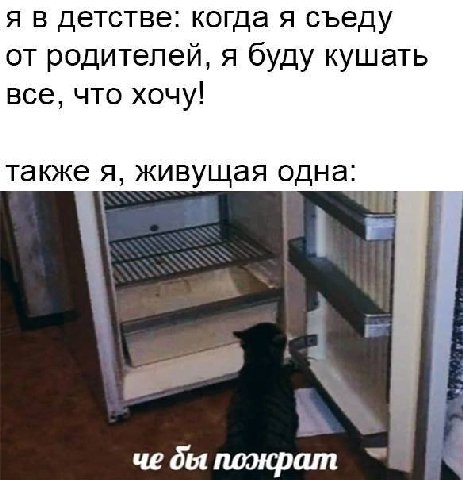 я в детстве: когда я съеду от родителей, я буду кушать все, что хочу! также я, живущая одна: че пожрат