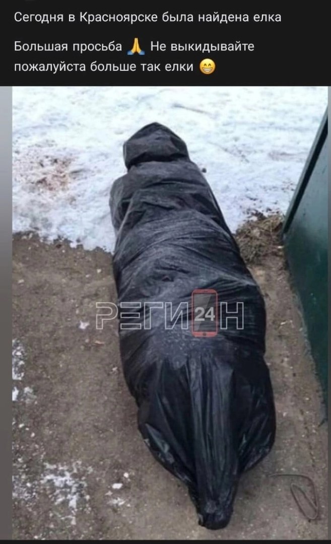 Сегодня в Красноярске была найдена елка Большая просьба А Не выкидывайте пожалуйста больше так елки