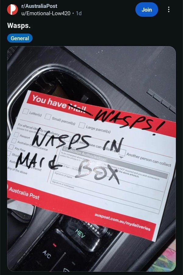 r/AustraliaPost Join u/Emotional-Low420 Wasps. General You have 4 A ‘4