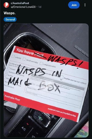 r/AustraliaPost Join u/Emotional-Low420 Wasps. General You have 4 A ‘4