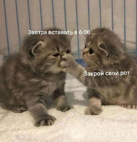 Завтра вставать в 6:00.... Закрой свой рот