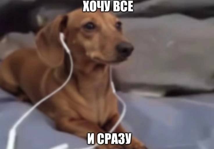 ХОЧУ ВСЕ