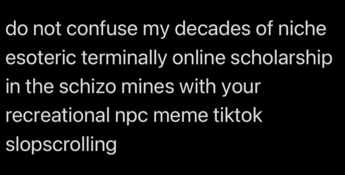 not confuse my decades of niche esoteric terminally online scholarship in the schizo mines with your recreational noc meme tiktok slopscrolling