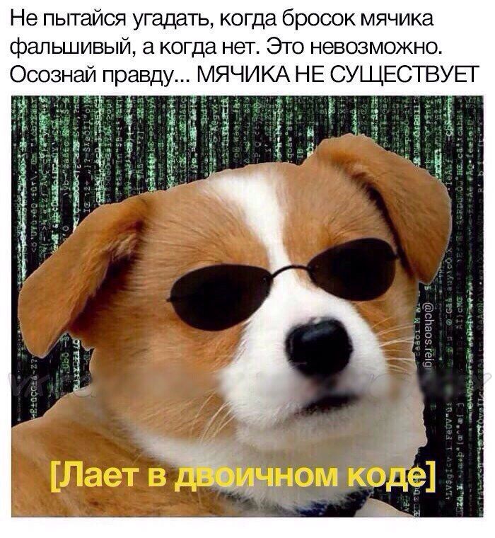 Не пытайся угадать, когда бросок мячика фальшивьй, а когда нет. Это невозможно. Осознай правду... МЯЧИКА НЕ СУЩЕСТВУЕТ 4 К Я #74 [Лает в ДВФИЧНОМ