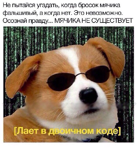 Не пытайся угадать, когда бросок мячика фальшивьй, а когда нет. Это невозможно. Осознай правду... МЯЧИКА НЕ СУЩЕСТВУЕТ 4 К Я #74 [Лает в ДВФИЧНОМ