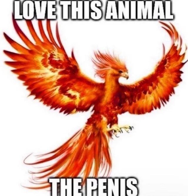 ANIMAL