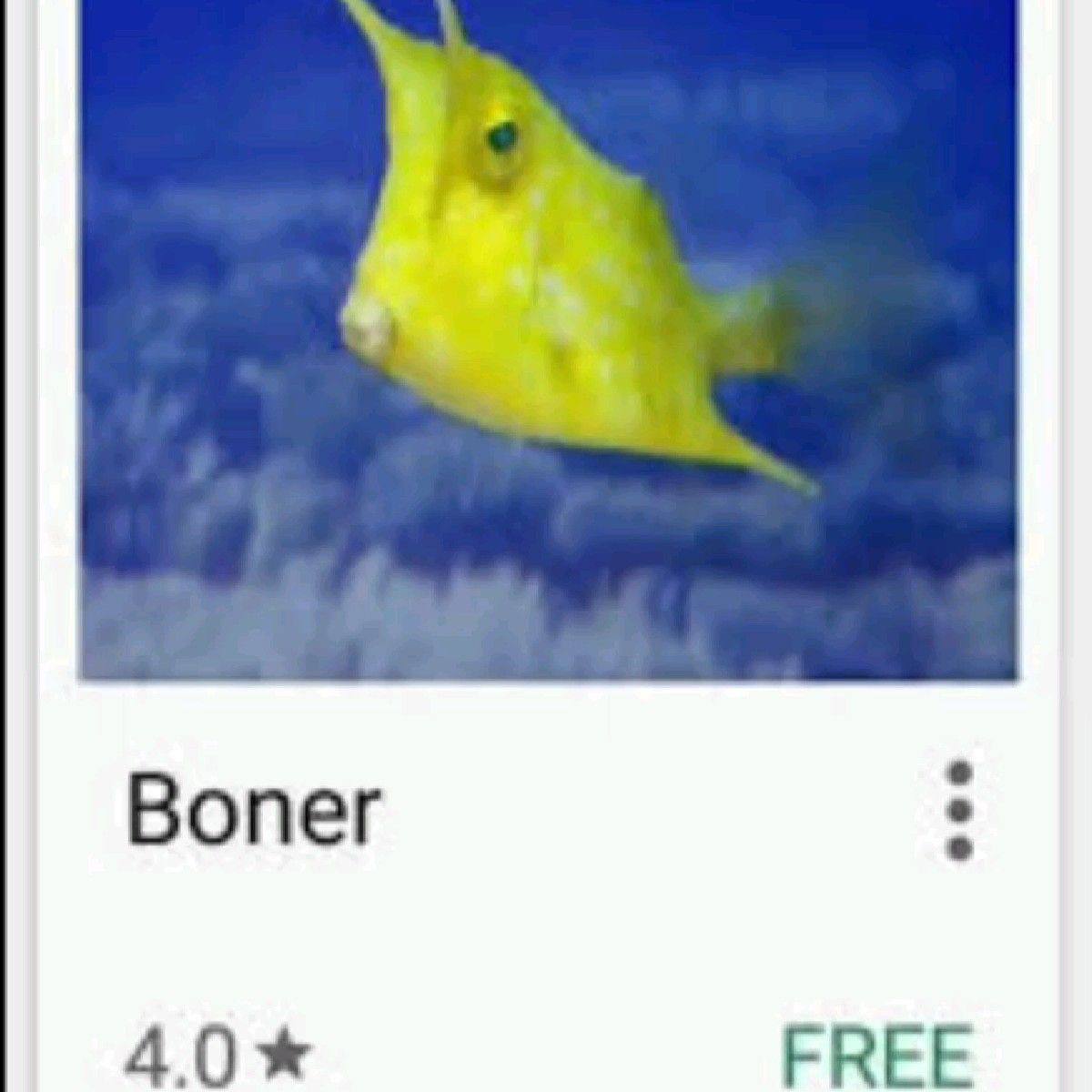 Вопег 40* FREE