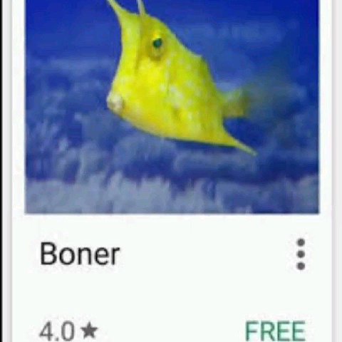 Вопег 40* FREE