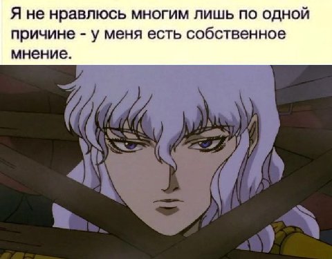 Я не нравлюсь многим лишь по одной причине у меня есть собственное мнение.