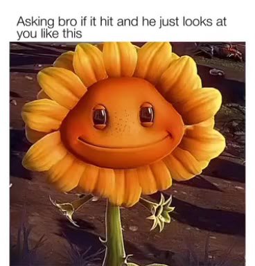 Asking bro if it hit and he just looks at you like this
