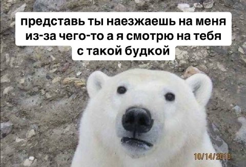 ‘представь ТЫ наезжаешь на меня из-за чего-то а я смотрю на тебя с такой и будкой 2%. 2 10/14/