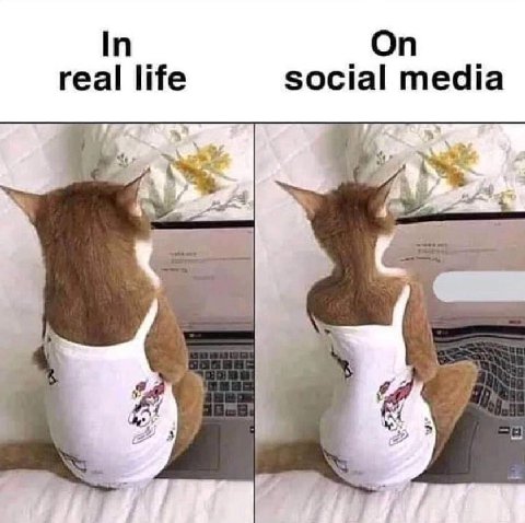 In On real life social media #4