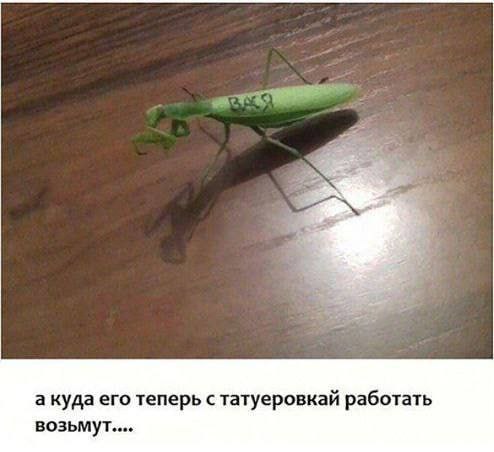а куда его теперь с татуеровкай работать возьмут....