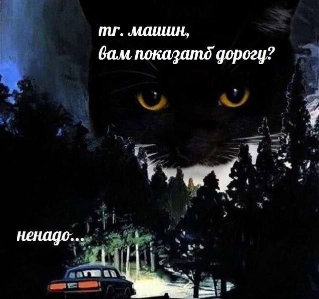машши, Gam показатд дорогу? 4 ненадо...