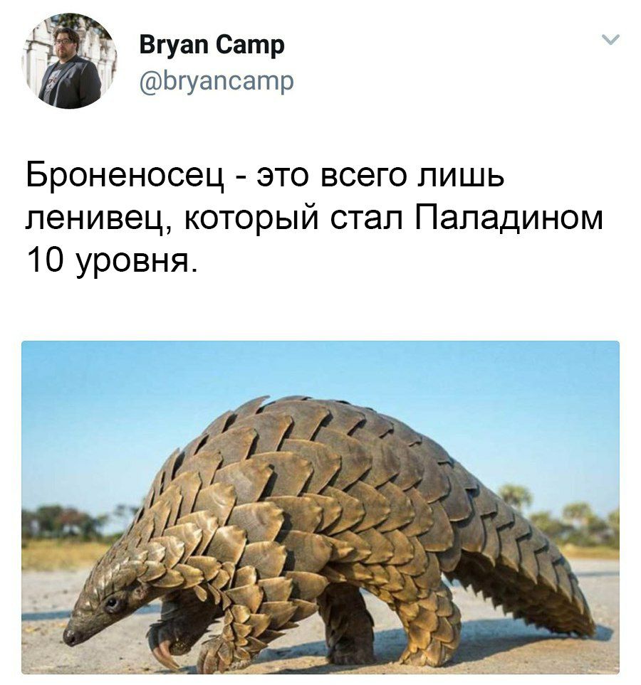 Вгуап Сатр @bryancamp это всего лишь ленивец, который стал Паладином 10 уровня. у