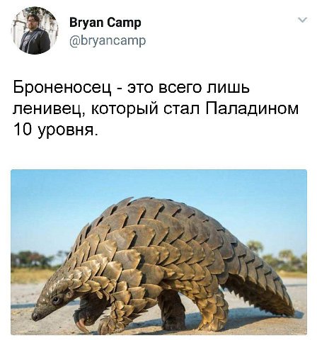 Вгуап Сатр @bryancamp это всего лишь ленивец, который стал Паладином 10 уровня. у