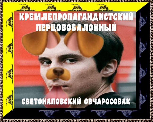 В of. КРЕМ ЛЕПРОПАГАНДИСТСКИЙ НЕ ПЕРЦОВОБАЛОННЫЙ СВЕТОНАПОВСКИЙ ОВЧАРОСОБАК