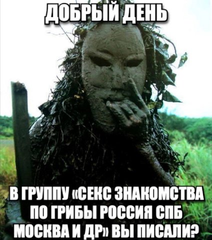 ДОБРЫЙ ДЕНЬ 4 4 ГРУППУ «СЕКС NO ГРИБЫ РОССИЯ МОСКВА И ВЫ ПИСАЛИ?