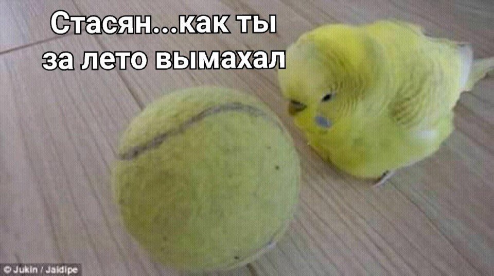 Стасян...как ты за лето вымахал