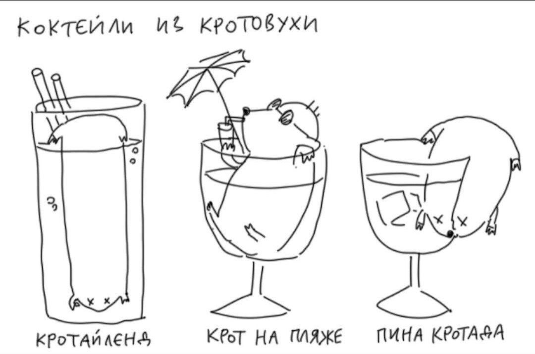 КоКТЕЙЛи КРОТОВУХИ KPoT ПЛЯЖЕ MUHA КРоТАФА