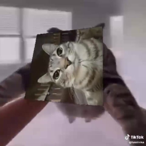 мем