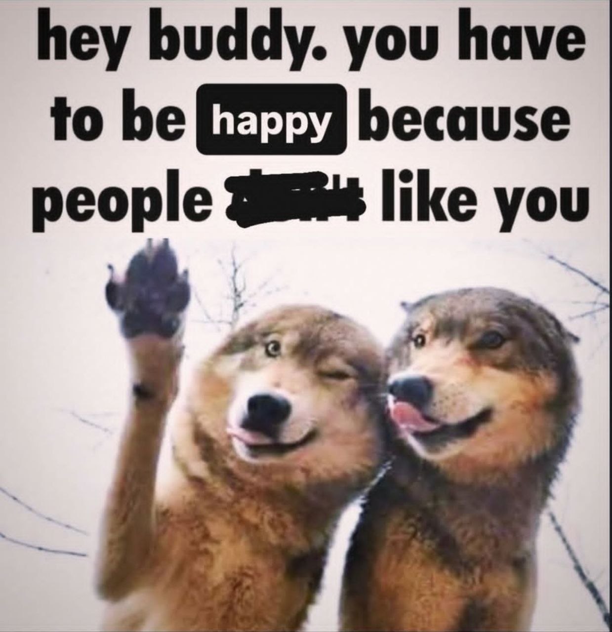 hey buddy. you have to be because people like you