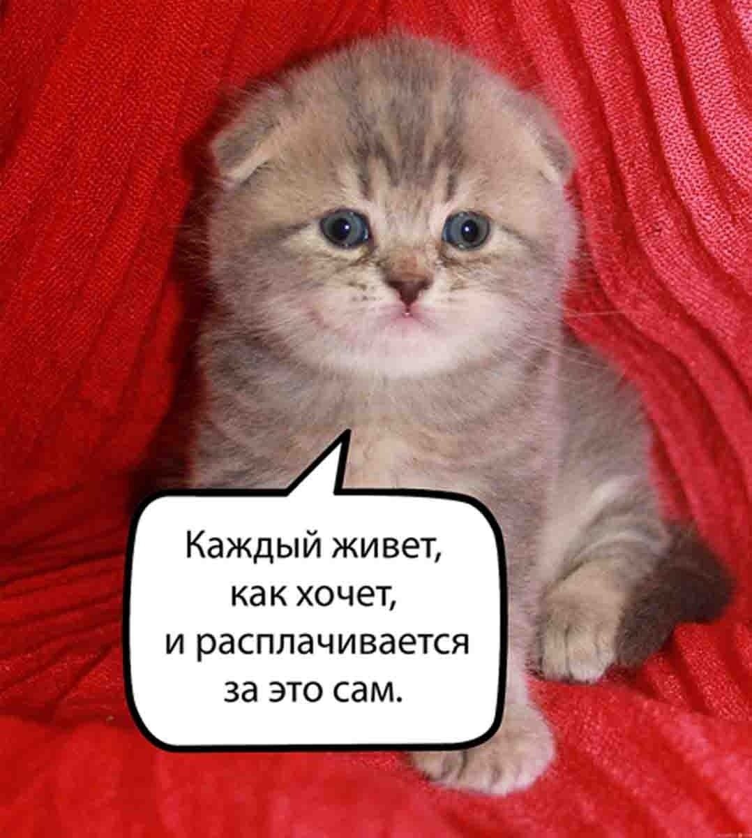 Каждый живет, как хочет, и расплачивается за это сам.