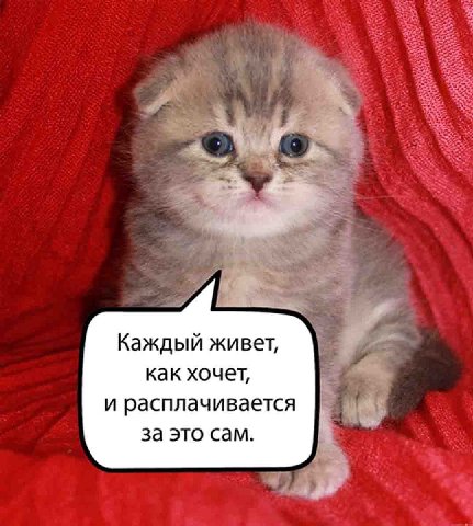 Каждый живет, как хочет, и расплачивается за это сам.