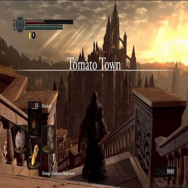 Tomato