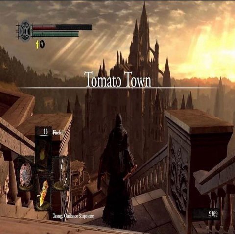 Tomato