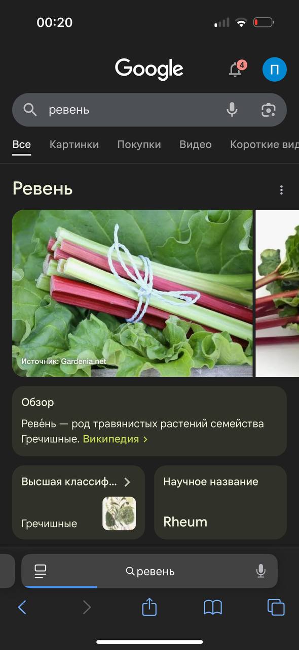 00:20 all Google О. ревень Все Картинки Покупки Видео Короткие виг Ревень a 7 4 у Ревёнь род травянистых растений семейства Гречишные. Википедия Высшая классиф... Научное название Гречишные Rheum Срев
