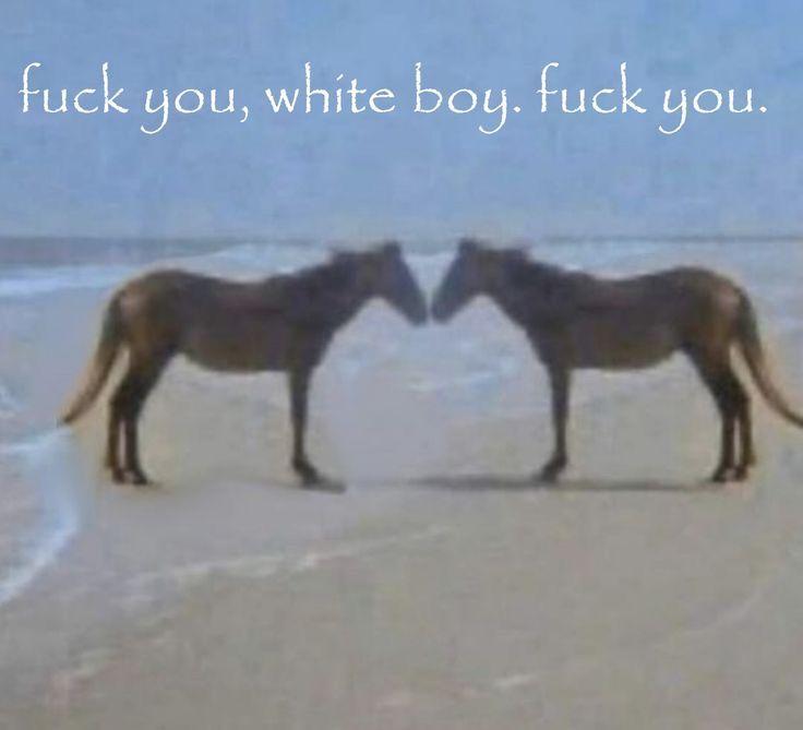 fuck you, white boy. fuck you.
