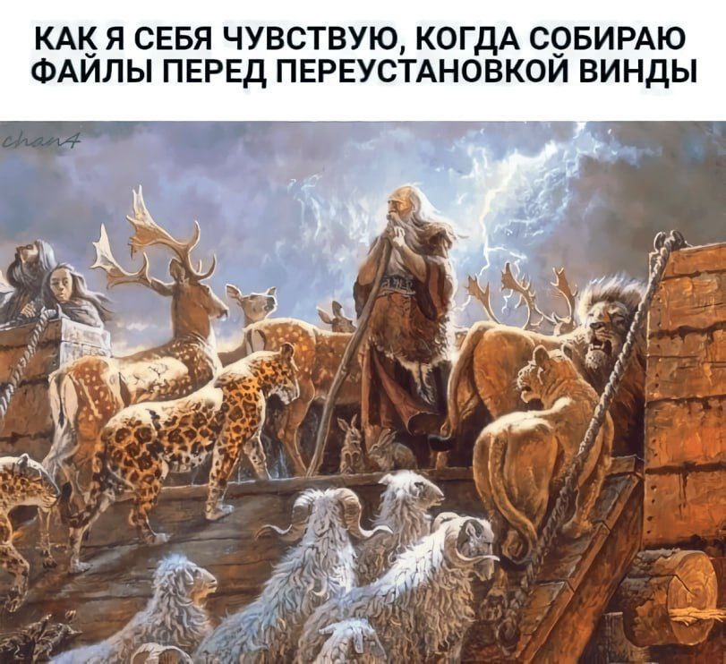 КАК Я СЕБЯ ЧУВСТВУЮ, КОГДА СОБИРАЮ ФАЙЛЫ ПЕРЕД ПЕРЕУСТАНОВКОЙ ВИНДЫ че ‘a A